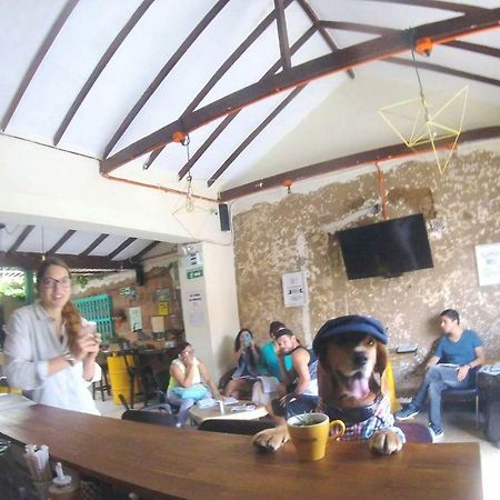 Panela Medellinホステル エクステリア 写真