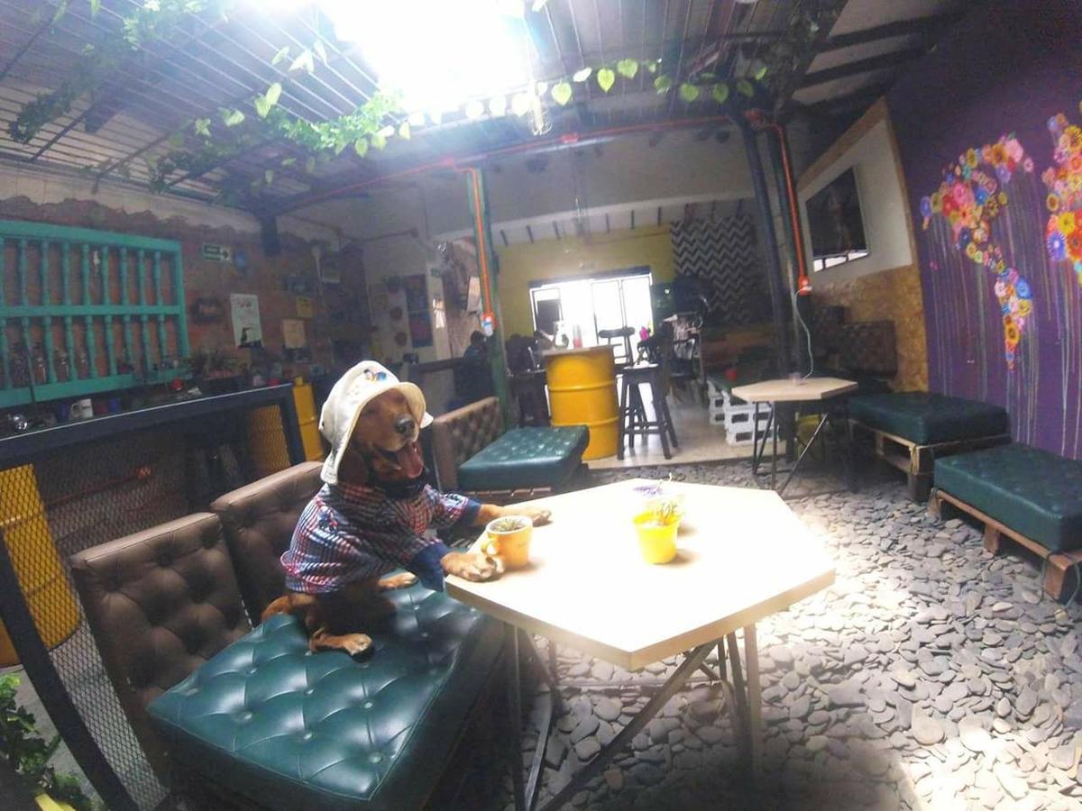 Panela Medellinホステル エクステリア 写真