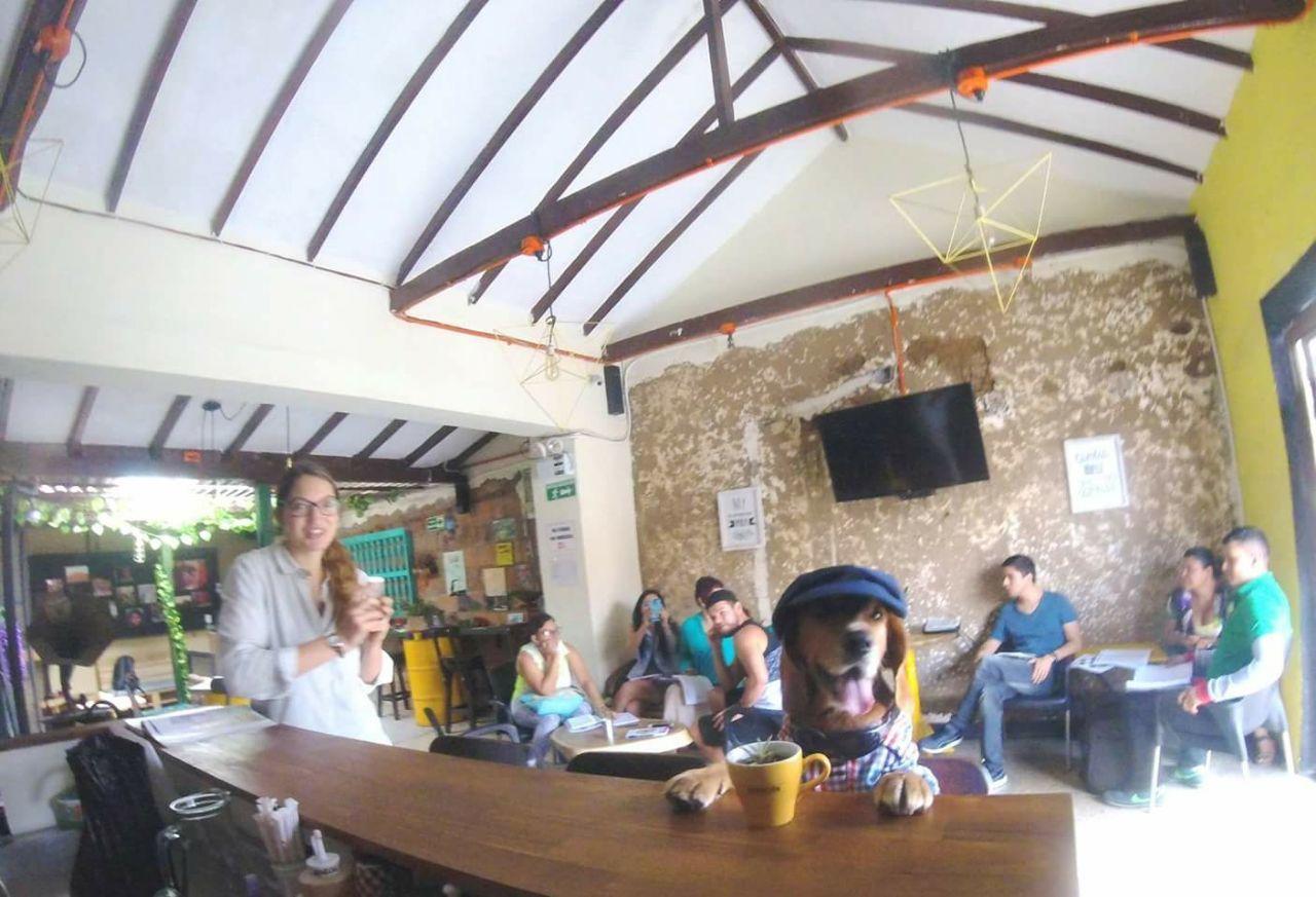 Panela Medellinホステル エクステリア 写真